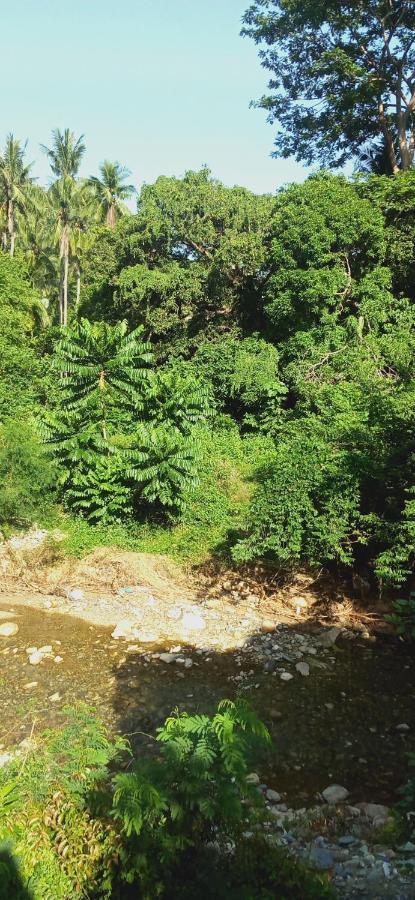 פוארטו גאלרה Riverside At Aninuan Accommodation And Food מראה חיצוני תמונה